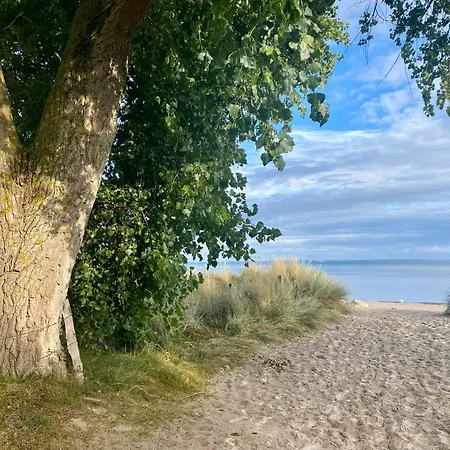 Südstrand Haus 45 Ferienhaus Pelzerhaken